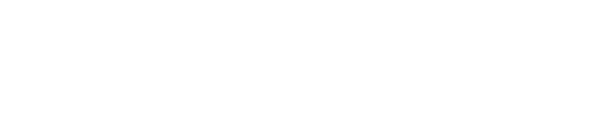 Management consulting and technology